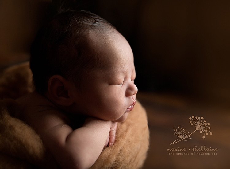 10 Things to Know About Before Becoming a Newborn Photographer