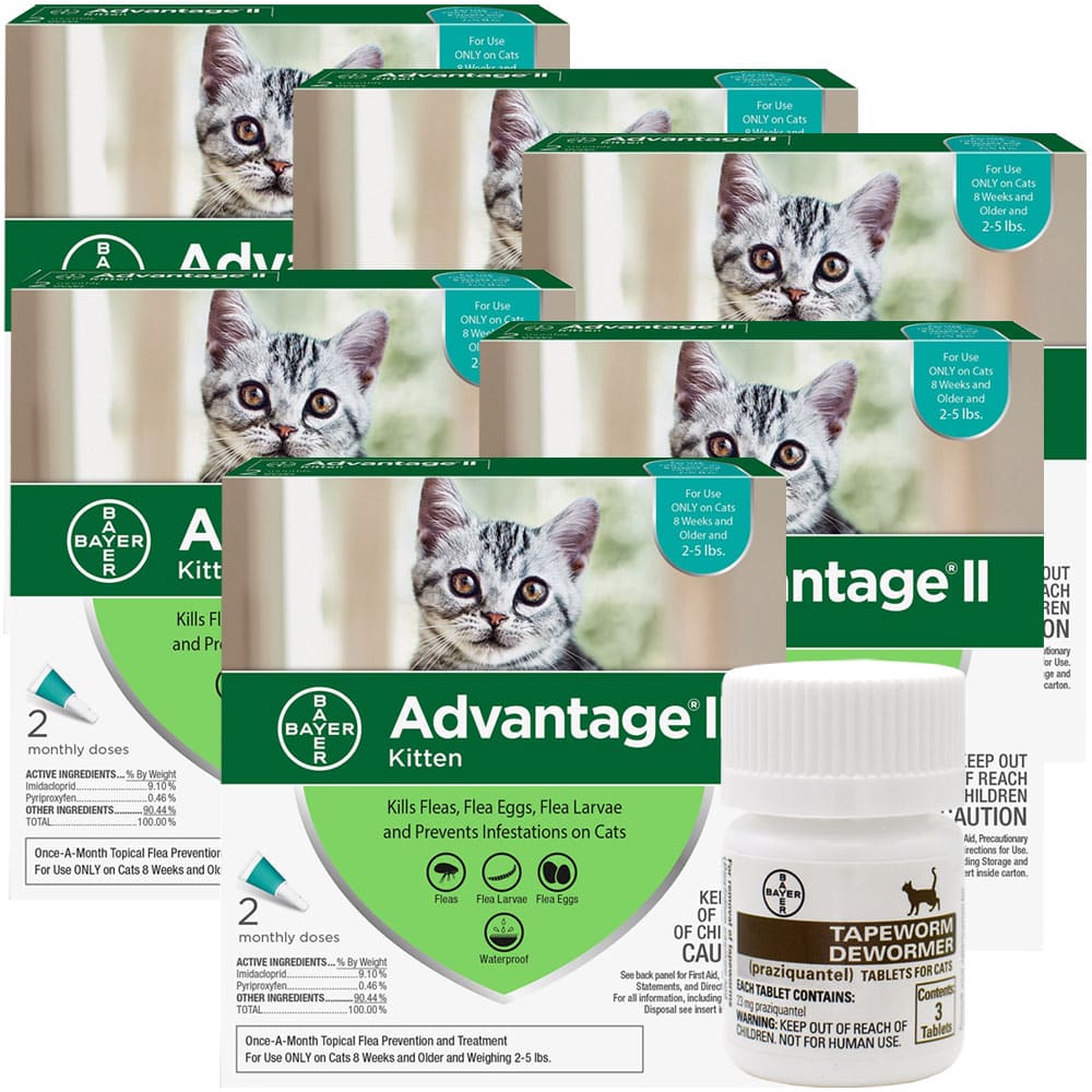 12 MONTH Advantage II Flea Control for Kittens (2