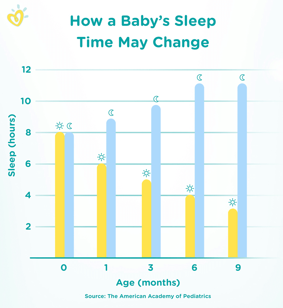 Approximately How Many Hours Per Day Do Newborns Spend Sleeping