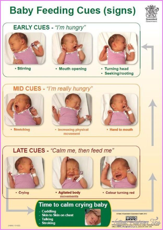 awesome HOW TO TAKE CARE OF A NEWBORN BABY GIRL PDF