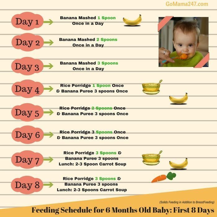 Babies Food Introduction