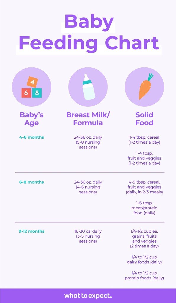 Baby Feeding Schedule &  Baby Food Chart for the First Year