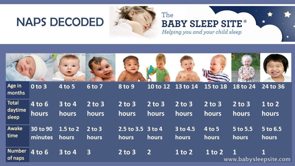 Baby Nap Chart: How Many Naps and How Long Should They Be ...