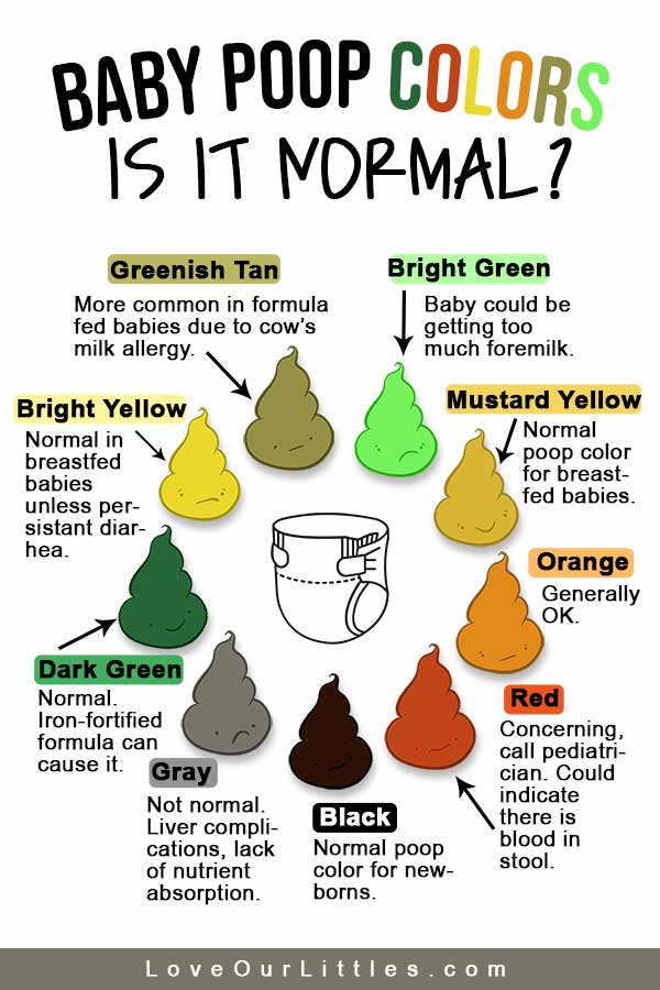 Baby Poop Colors Chart and Pictures: What