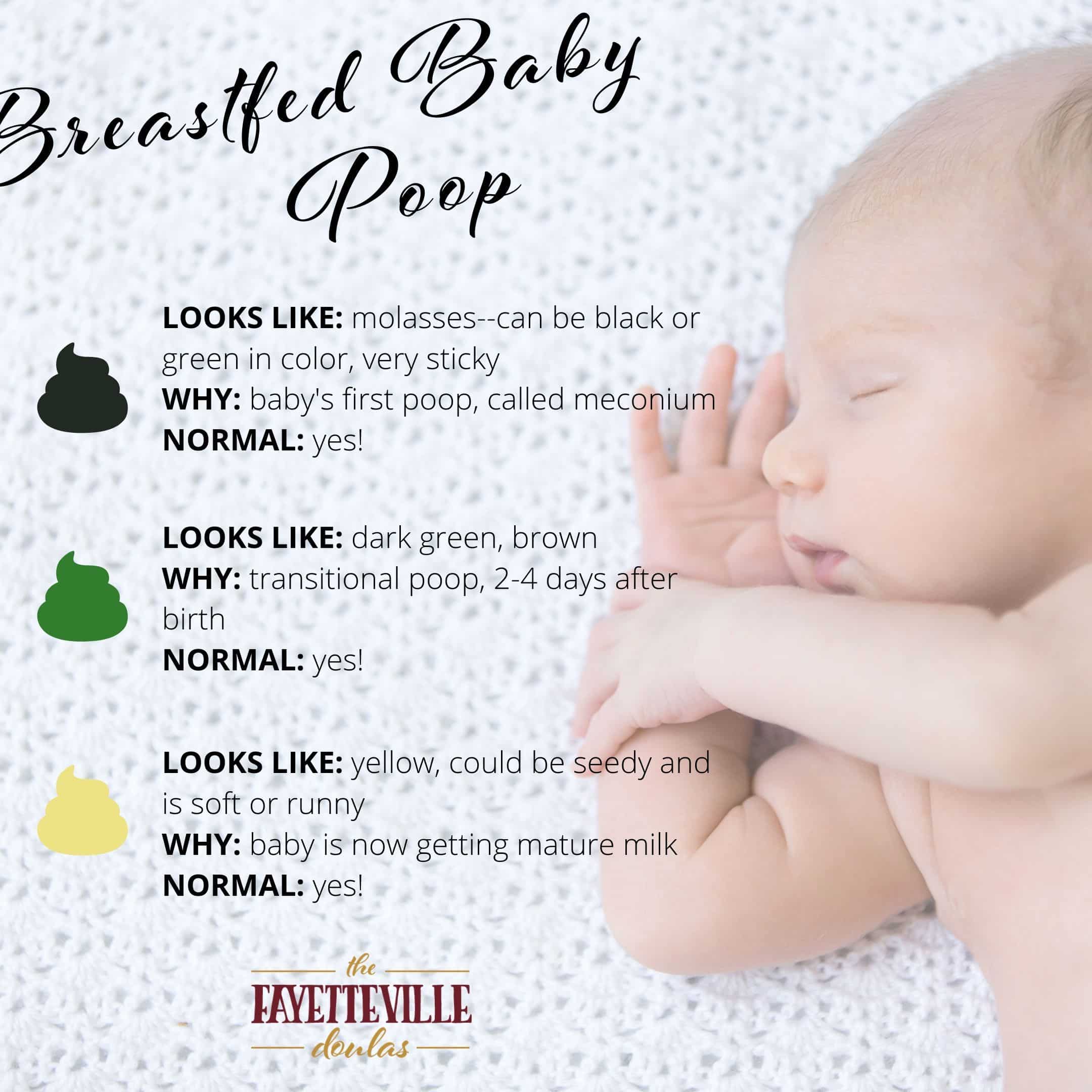 Baby Poop Guide Breastfeeding â Yoiki Guide