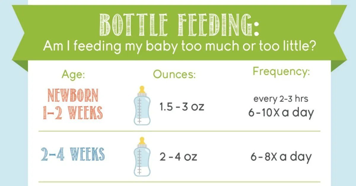 Bottle Feeding: Am I Feeding My Baby Too Much or Too Little?