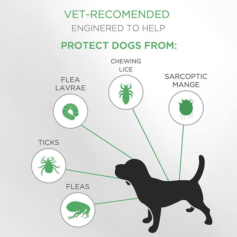 (Buy 1 Get 2 )Flea and Tick Prevention for Dogs &  Cats