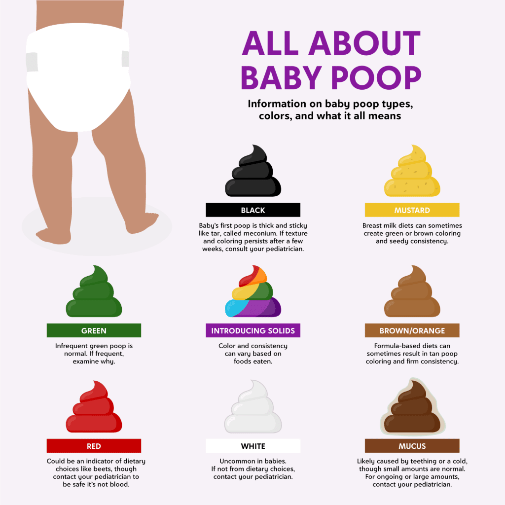 Detailed Information About Baby Poop