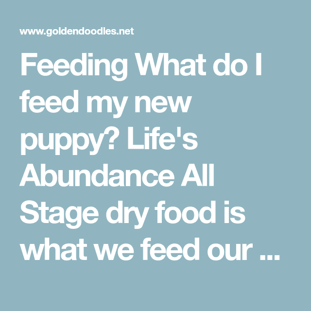 Feeding What do I feed my new puppy? Life