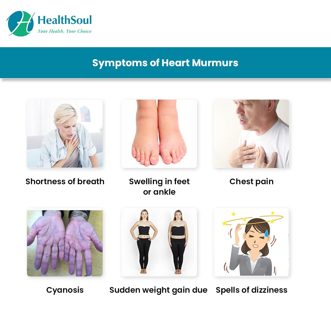 Heart Murmur: Symptoms and Causes  Healthsoul