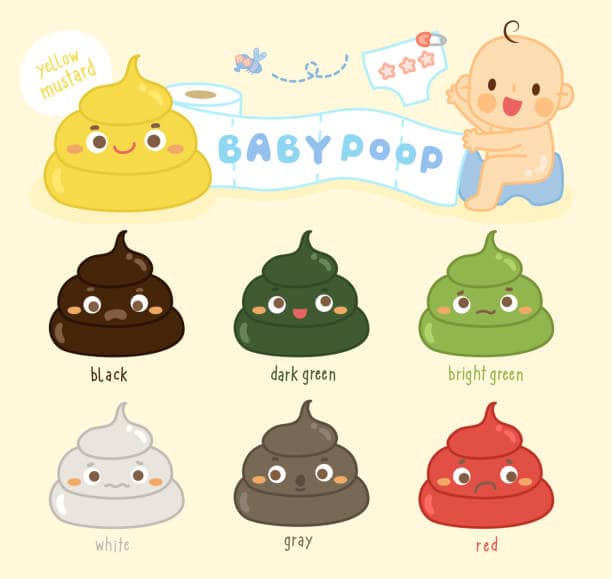 How Many Poops Newborn? Best Bowel Movements In Babies