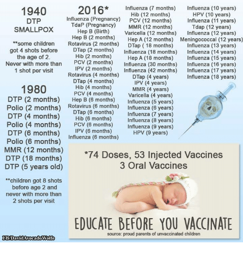 How Many Vaccines Do Babies Get By Age 2