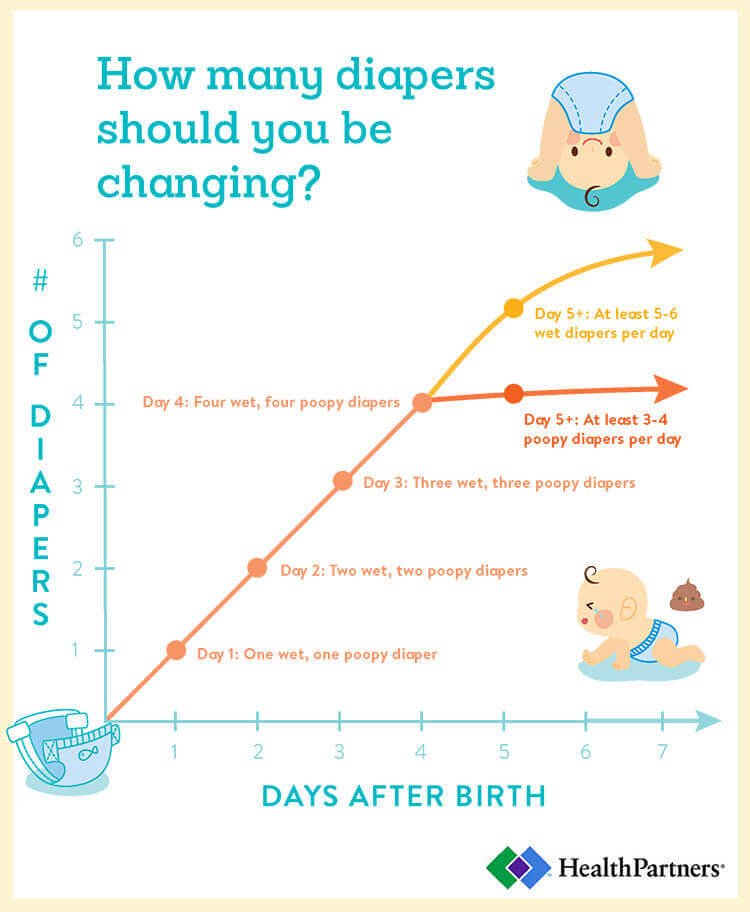 How Many Wet Diapers For Newborn Per Day