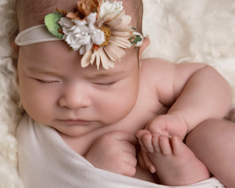 How Much Does A Newborn Photo Shoot Cost In Sydney?