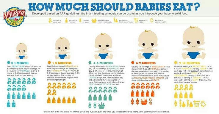 How much should babies eat?