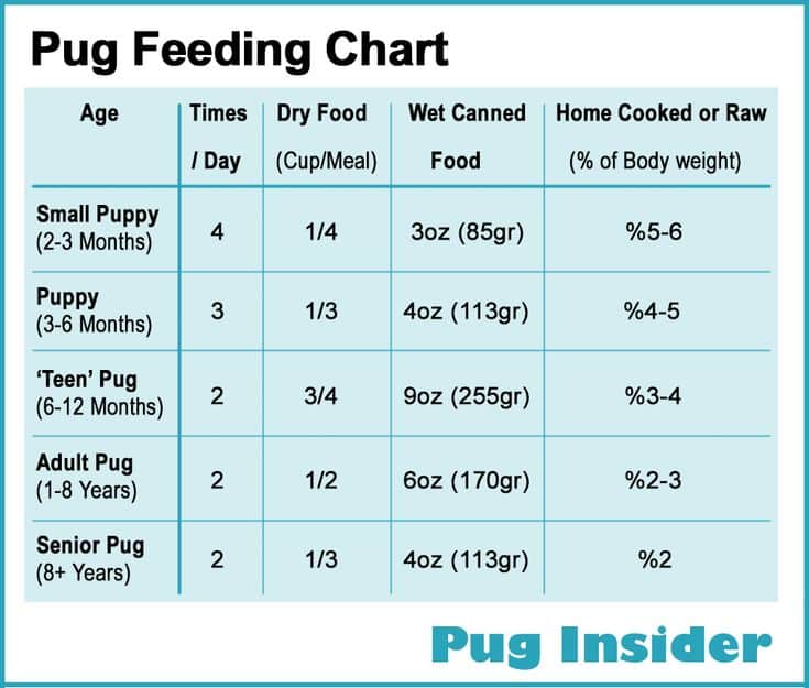 How Much To Feed My Puppy Chart in 2020