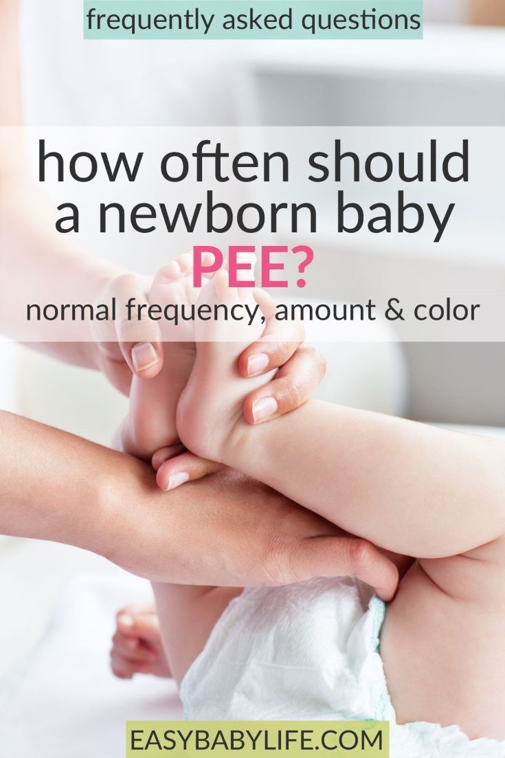 How Often Should A Newborn Pee? Normal Frequency and Color ...