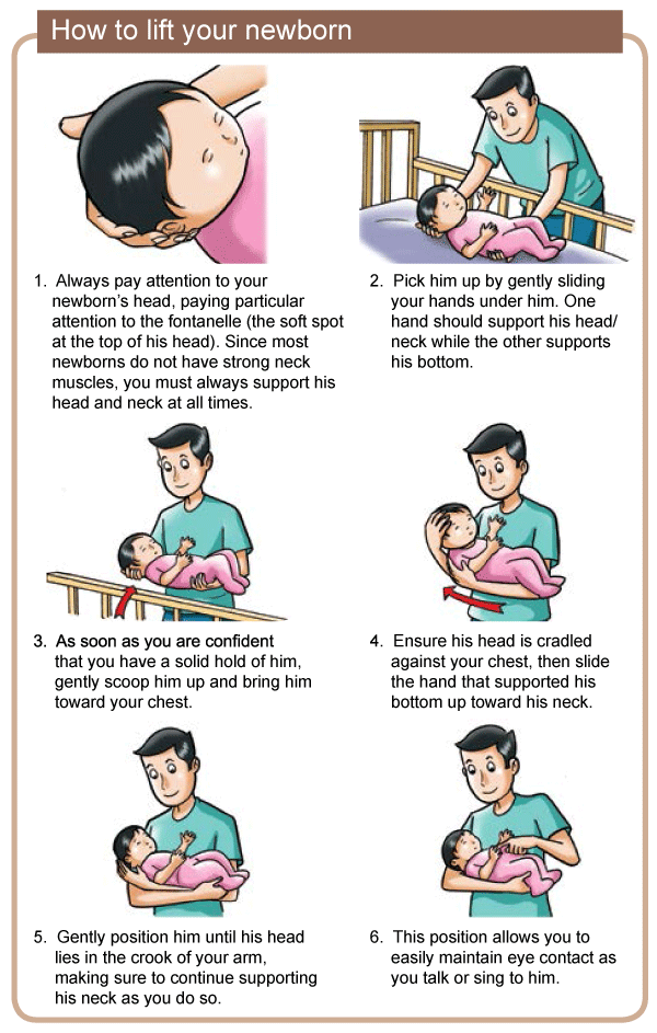 How to Hold Your Newborn
