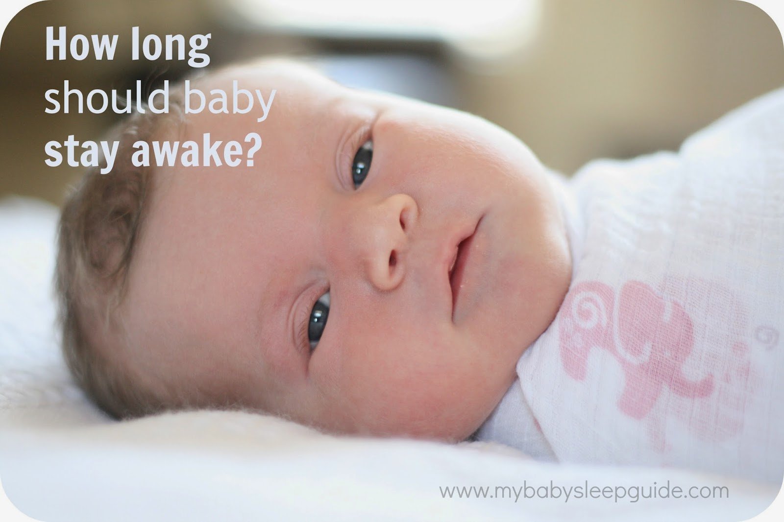 how to keep baby awake in the day onettechnologiesindia com