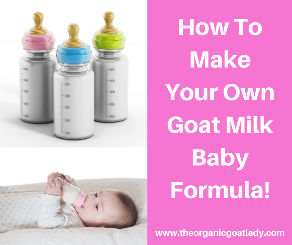 How To Make Goat Milk Baby Formula!