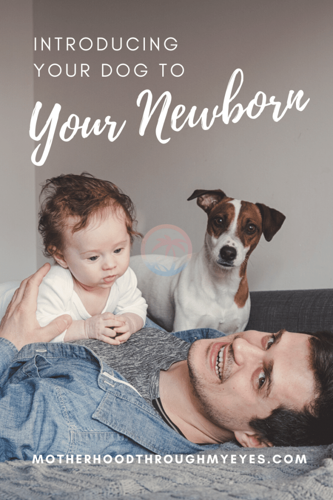 Introducing Your Dog To Your Newborn