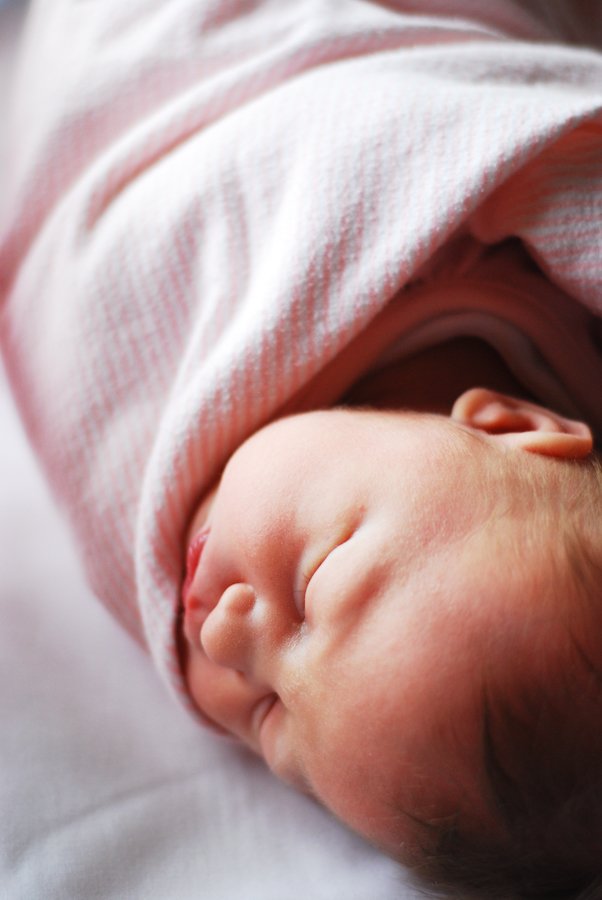 Katie Evans Photography: 5 Tips to take beautiful newborn ...