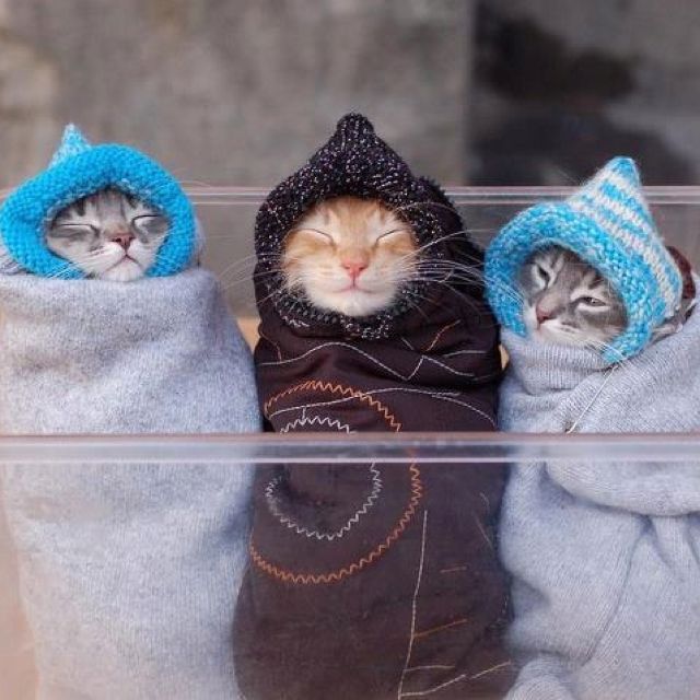 Keeping warm