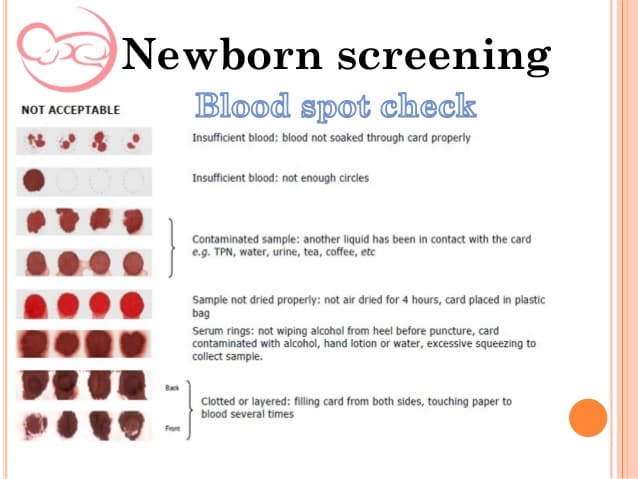 Kuwait newborn screening 3
