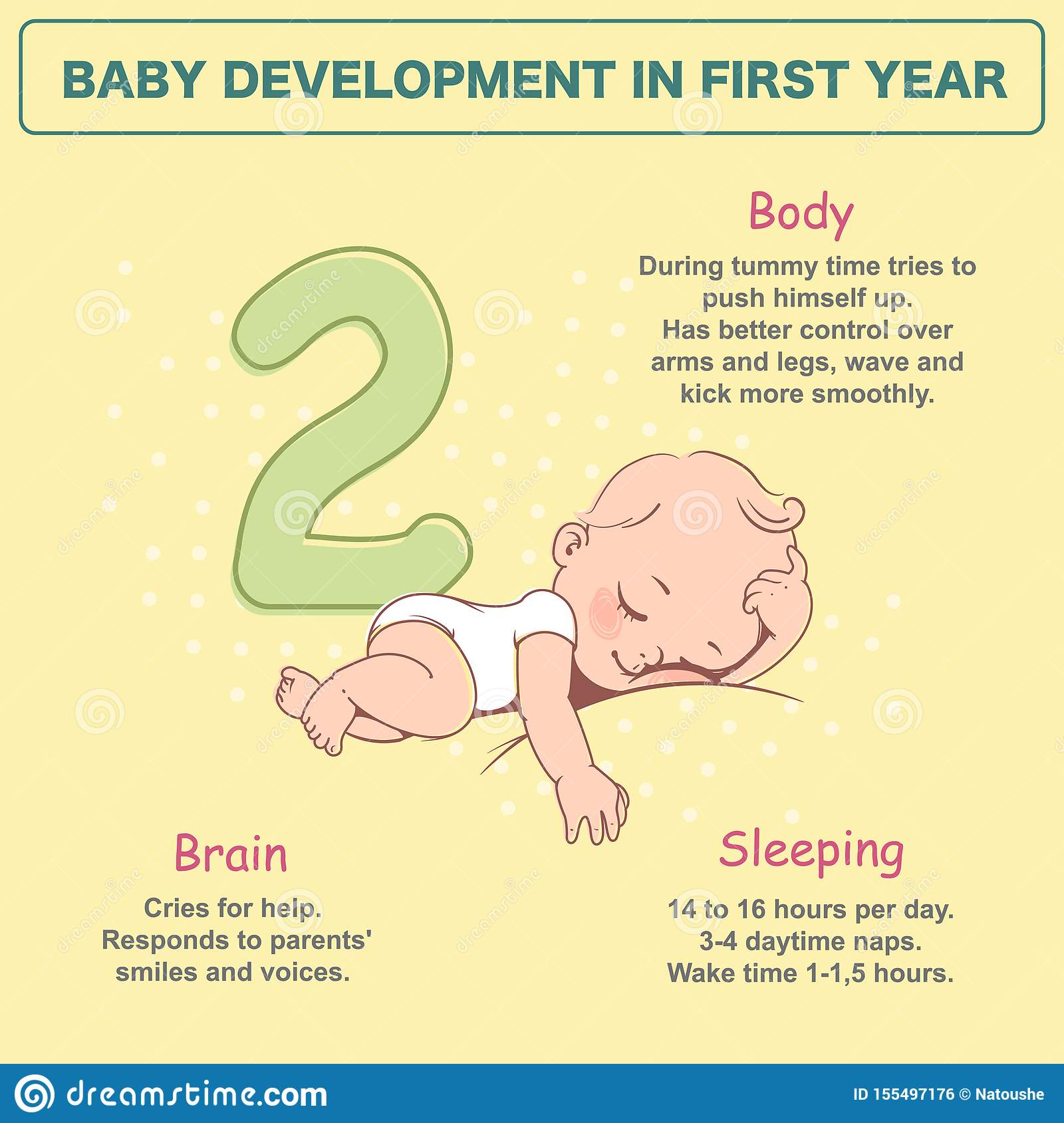 Little Newborn Baby of 2 Months. Development Infographics Stock Vector ...