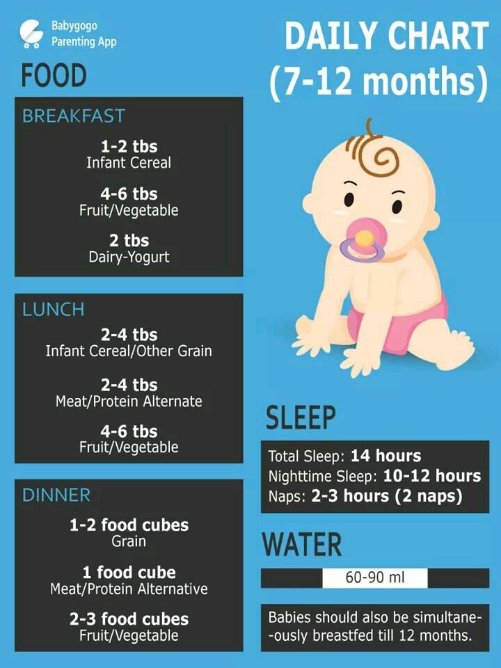 my baby enter 9 month plz food chart suggest me? weight gain food