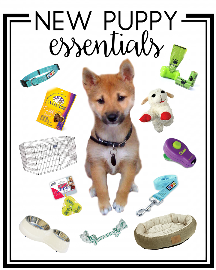 New Puppy Essentials