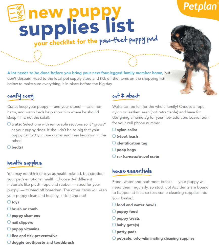 New Puppy Essentials List
