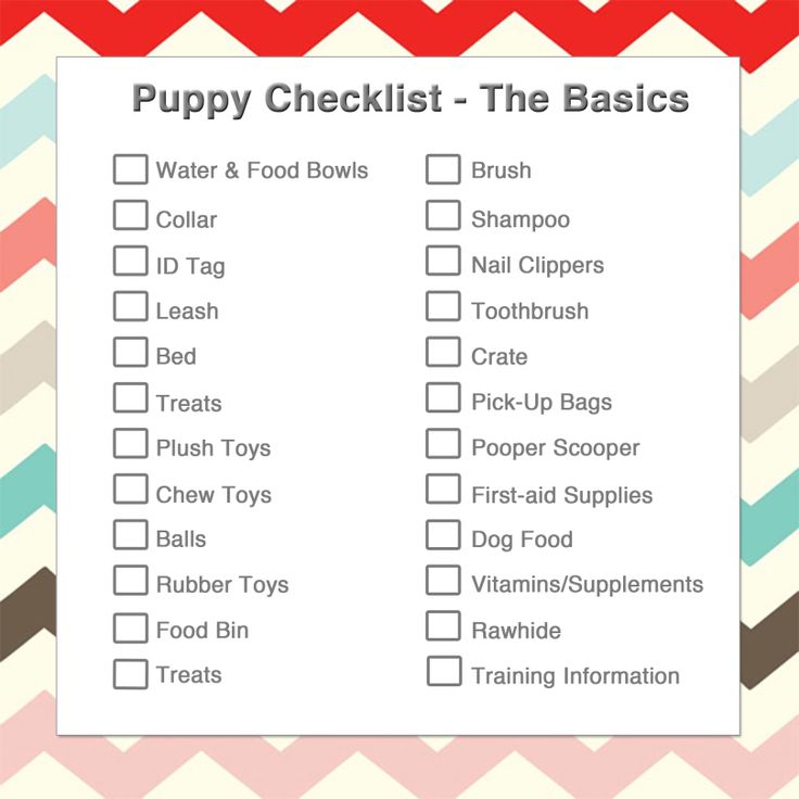 New Puppy Essentials: Whatâs on your checklist?