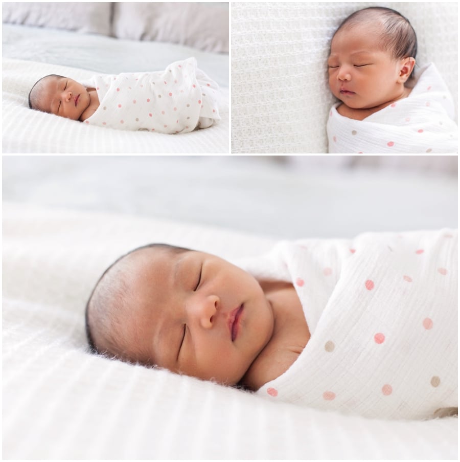 Newborn Charlotte Portraits at Home  Babys First Year