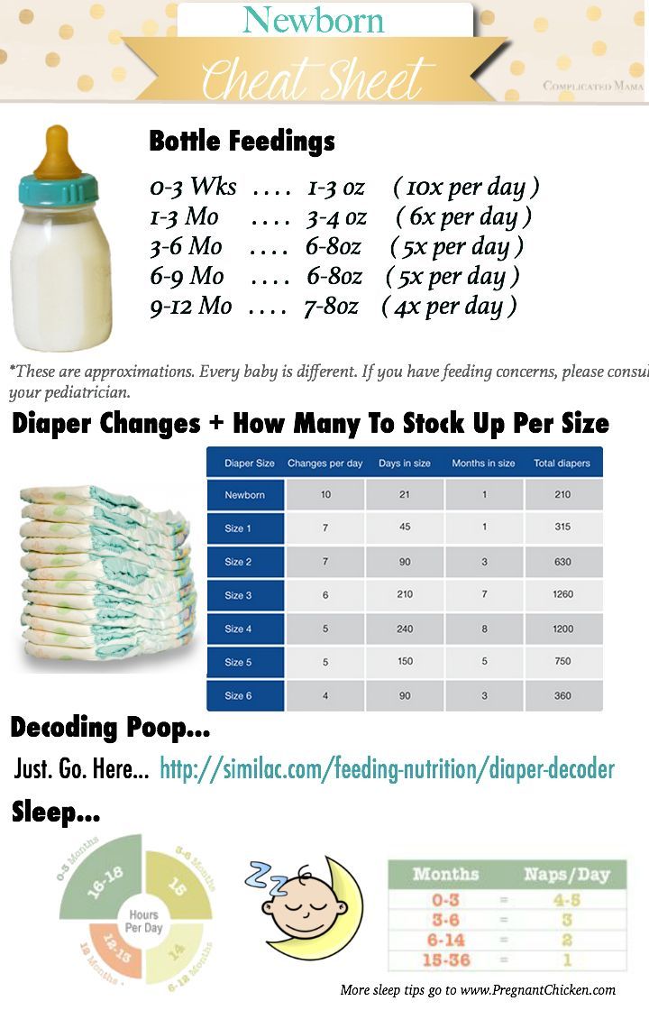 Newborn Cheat Sheet : Decoding Poop, Feedings + Nap times ...