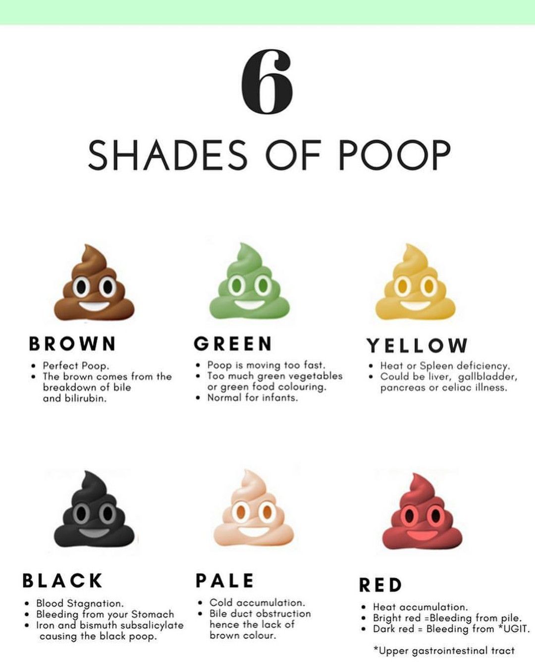 Newborn Kitten Poop Color Chart