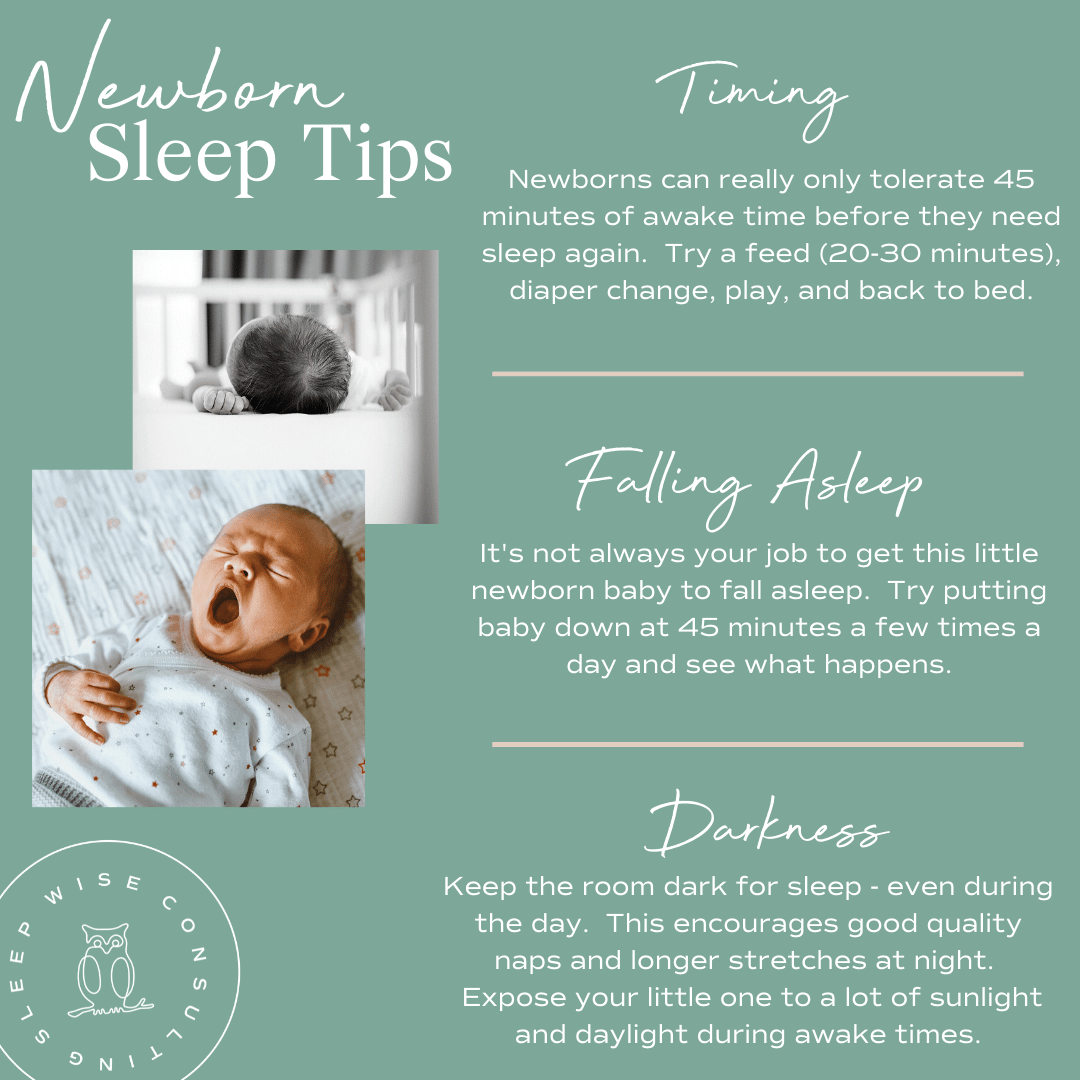 Newborn Sleep Tips