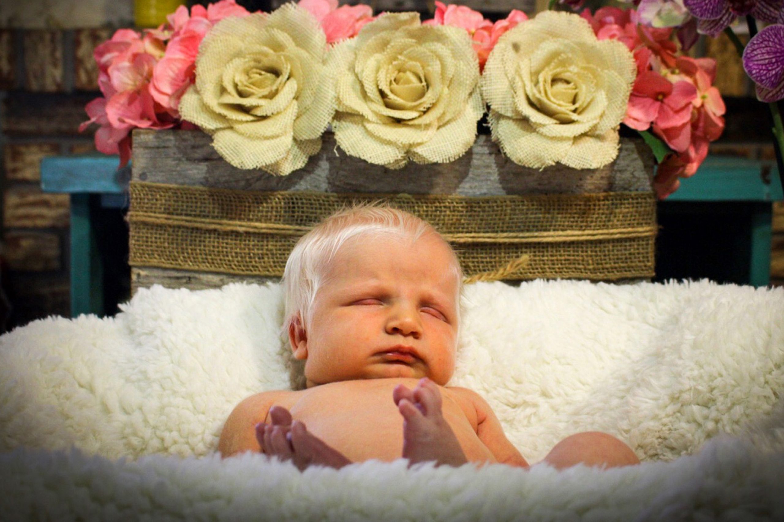 Newborn with shocking bright white hair takes internet by storm ...