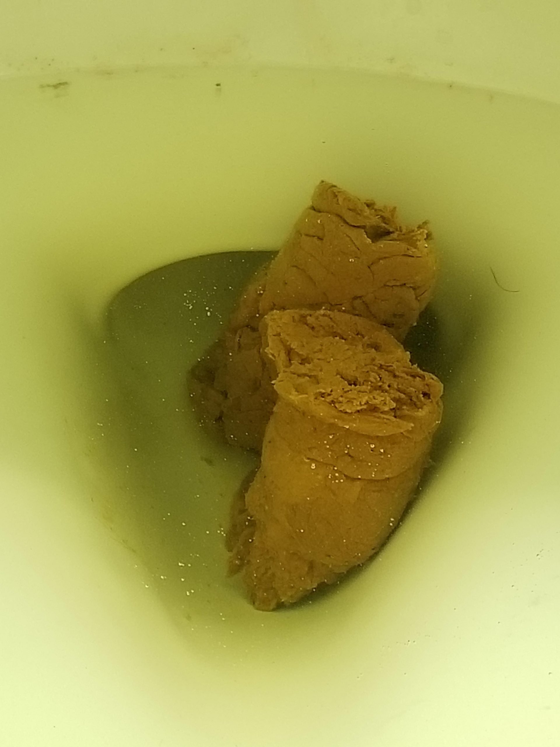 Post shitmas load : poop
