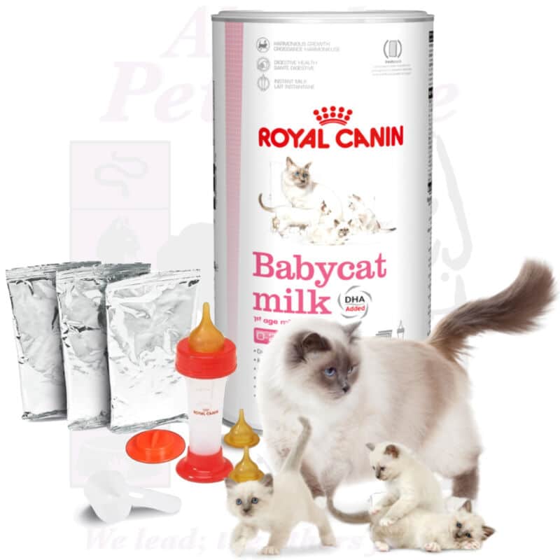 Royal Canin Babycat Milk Replacer Feed &  Bottle Kittens Birth