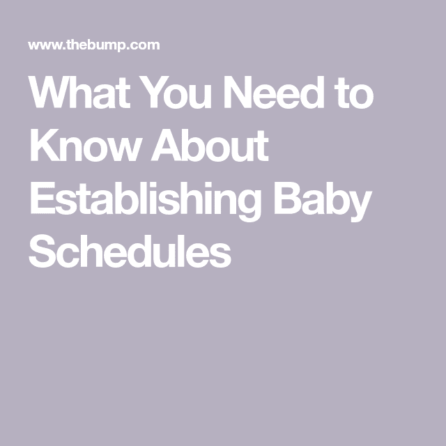 What You Need to Know About Establishing Baby Schedules
