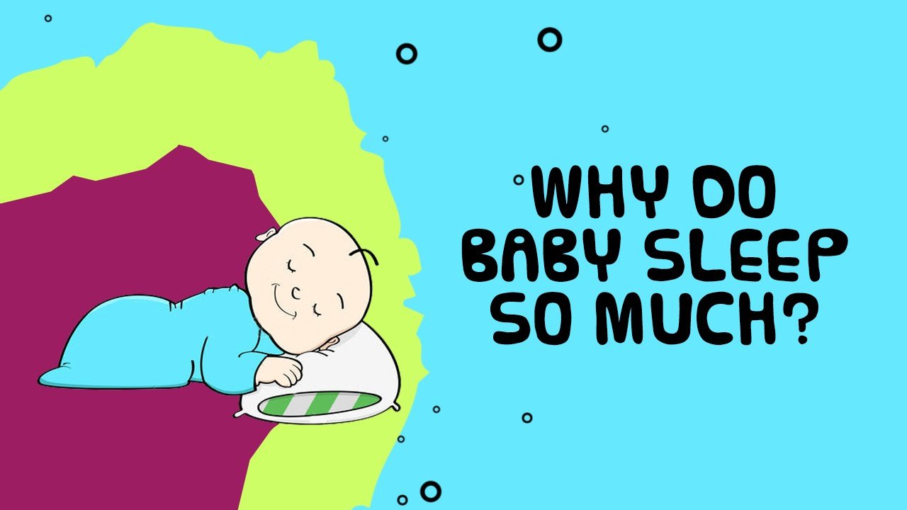 Why Do Baby Sleep So Much?