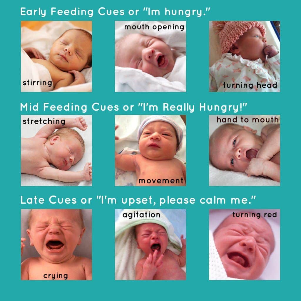 Why My Baby Crying While Feeding